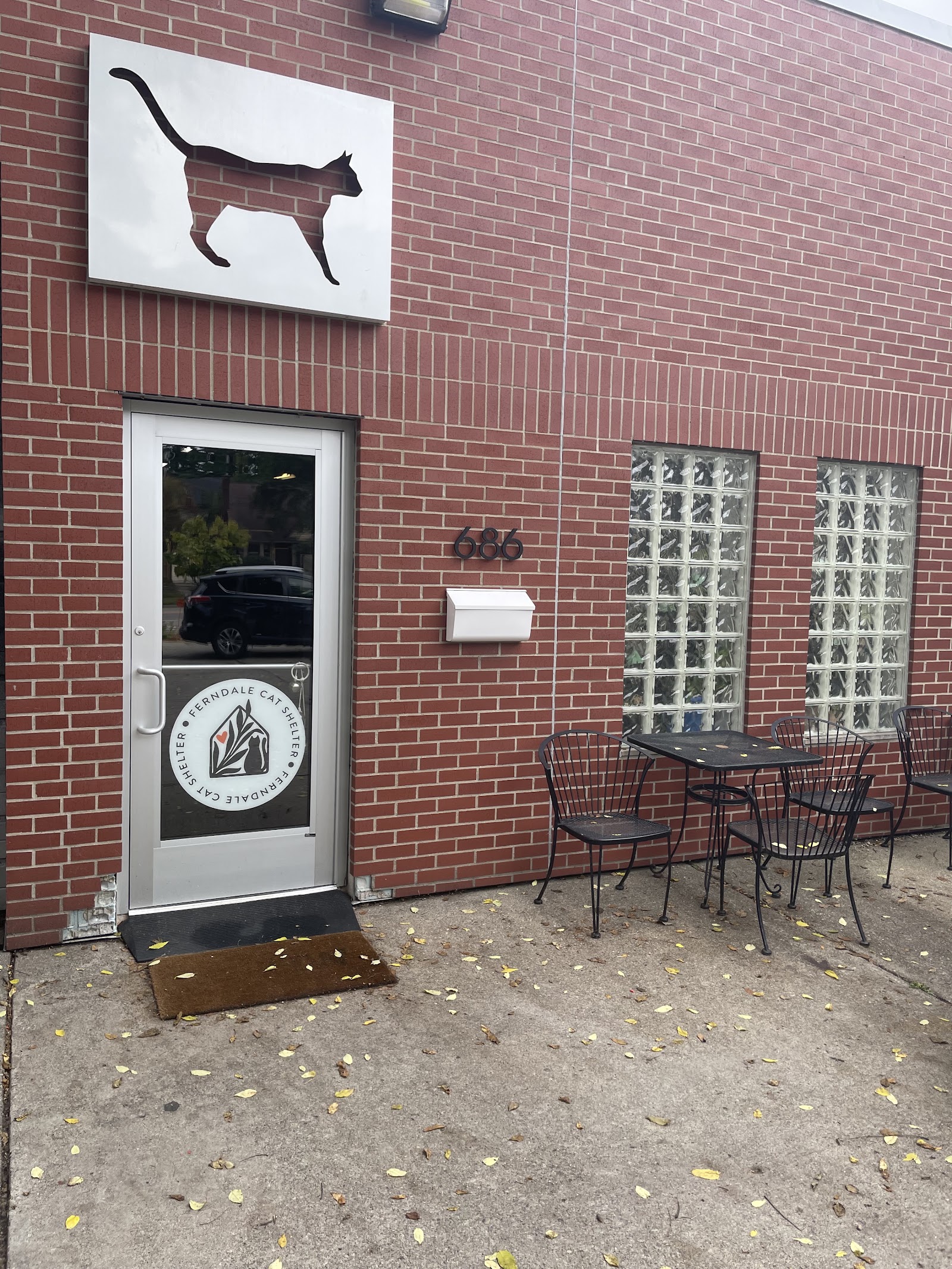 Catfé Lounge — photo