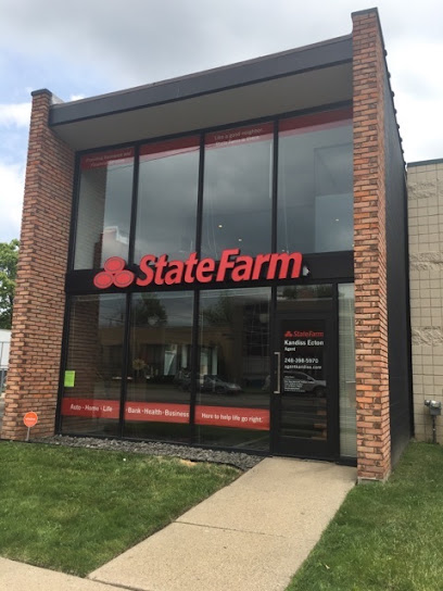 Kandiss Ecton - State Farm Insurance Agent in Ferndale