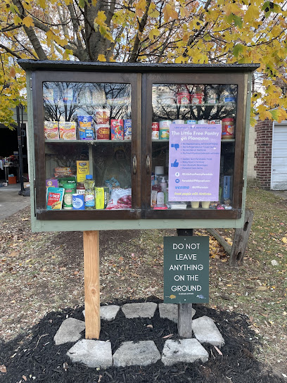 Little Free Pantry in Ferndale