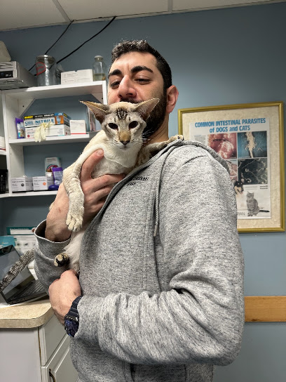 West Woodward Animal Hospital in Ferndale