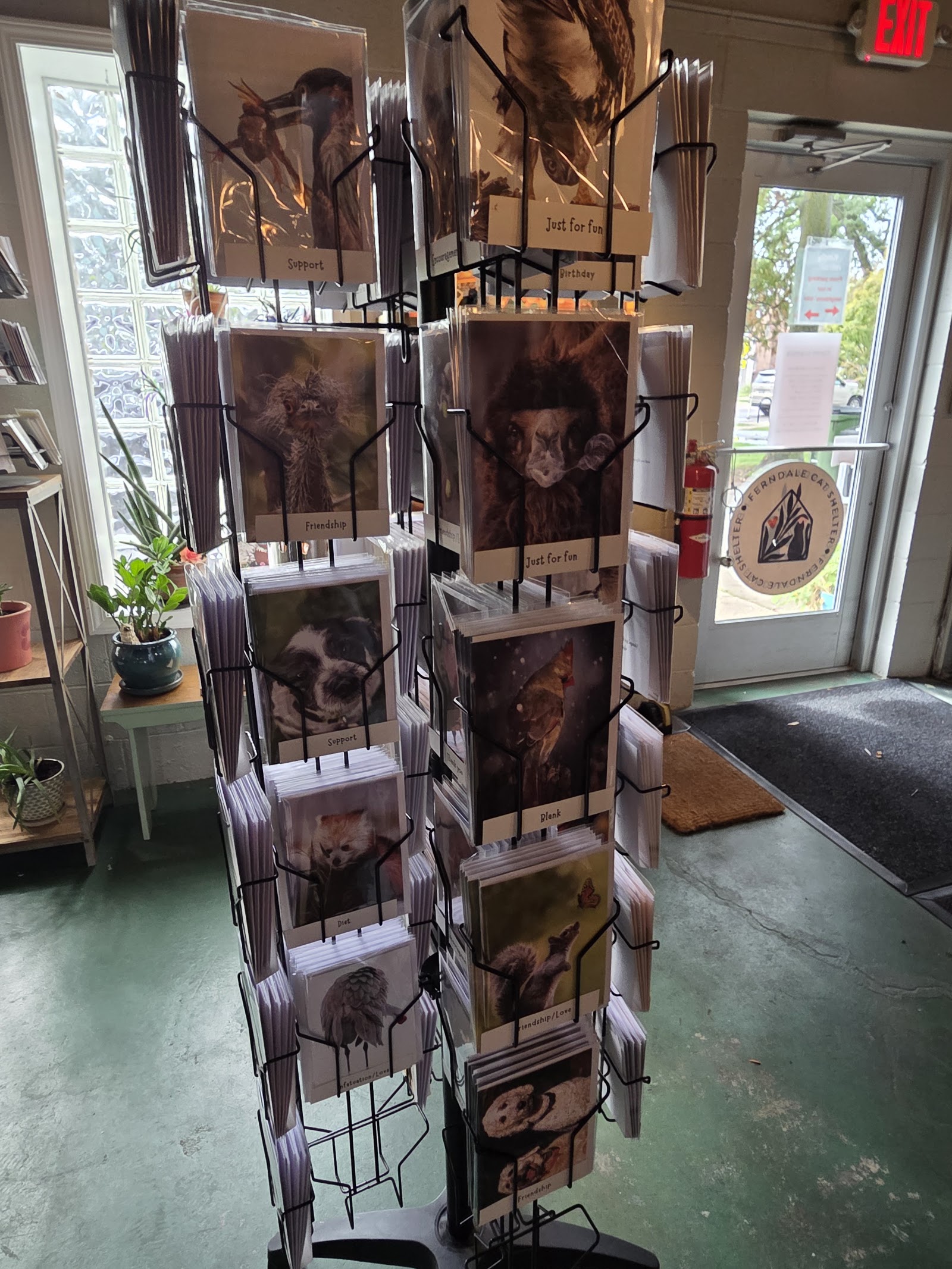 Ferndale Cat Shelter — photo