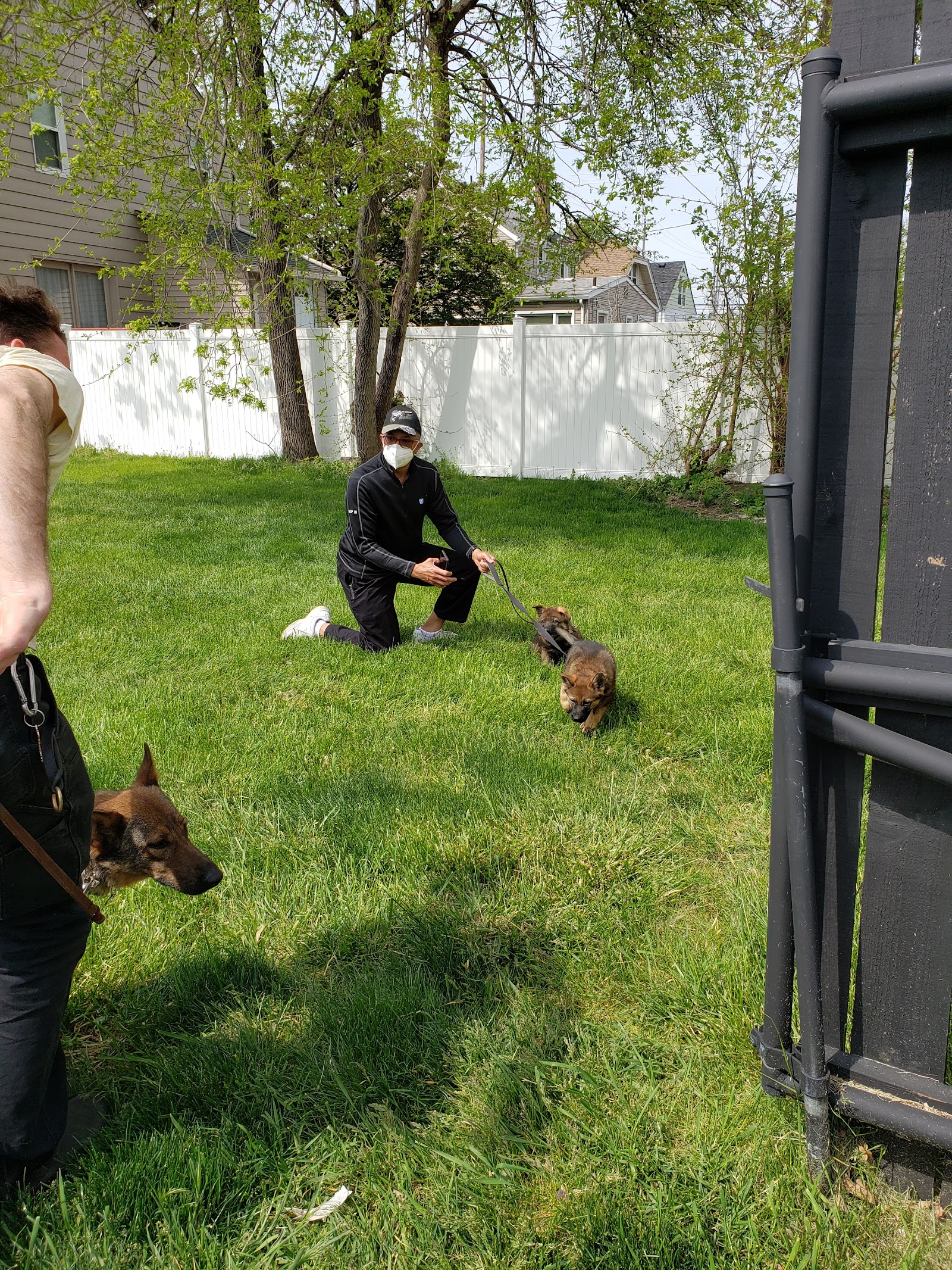 Little Friends of Ferndale Veterinary Care in Ferndale