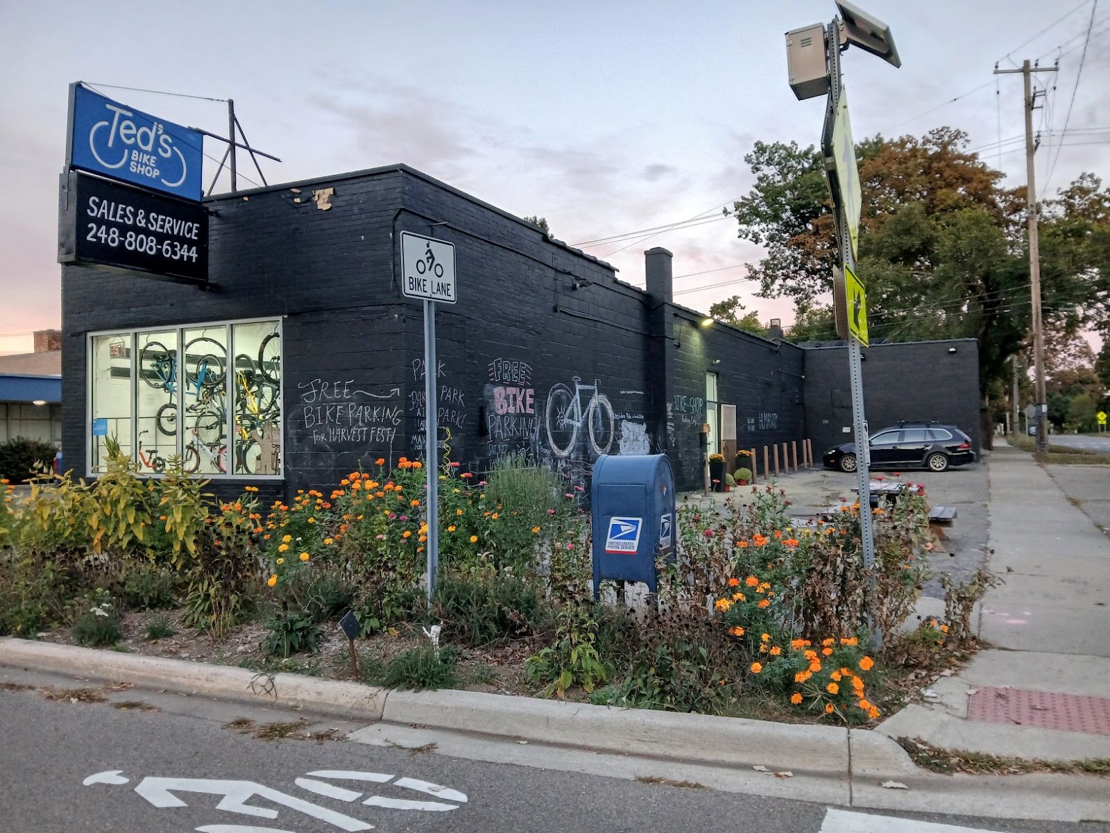 Ted's Bike Shop — photo